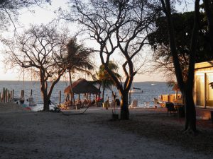 From Meli Londeree & Jesse Brock