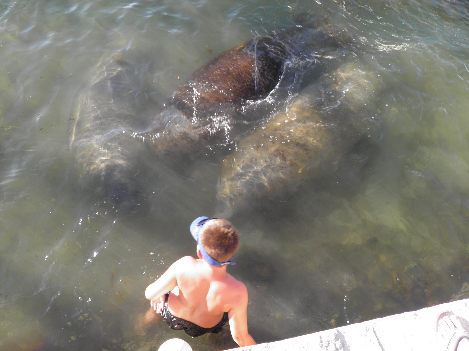 From Meli Londeree & Jesse Brock