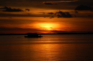 From Patricia Kirkman